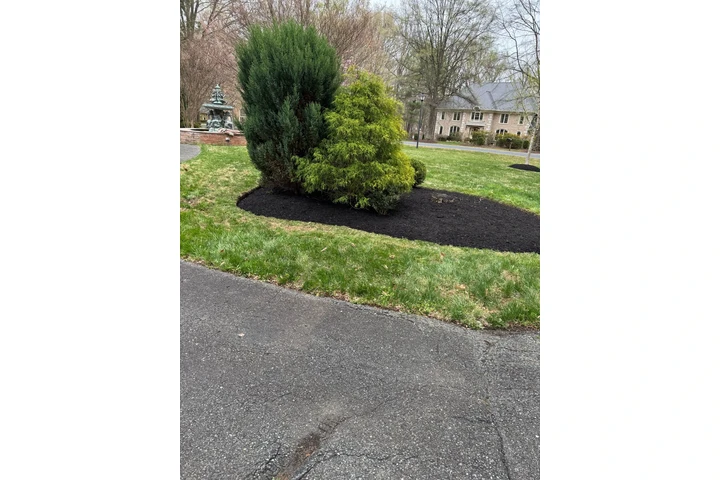 🌿HIDALGO LANDSCAPING🌿 image 9