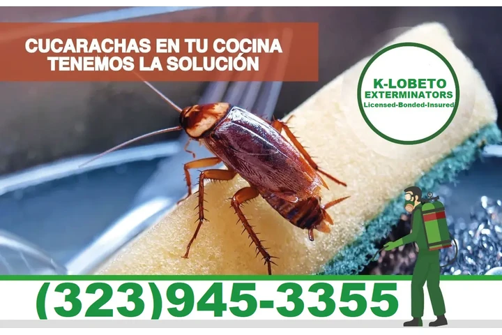 BEST EXTERMINATORS LOS ANGELES image 7