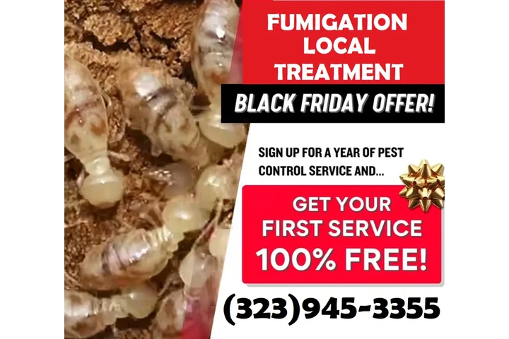 FUMIGATION - LOCAL TREATMENTS image 7