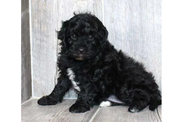 HIDE OTHER CAMS image 6