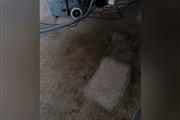 Carpet Cleaning-747-327-1450☎️ thumbnail 4