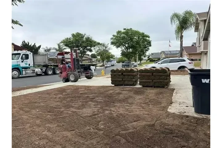 🌳 Francisco Toc Landscaping image 10