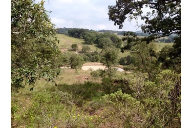 TERRENO D 5000M2 CERCA AMEALCO en Queretaro