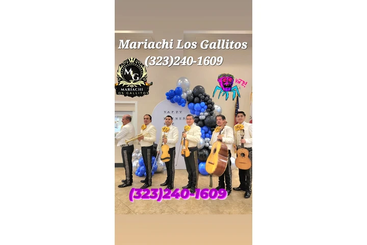 Mariachi Los Gallitos For Hire image 5