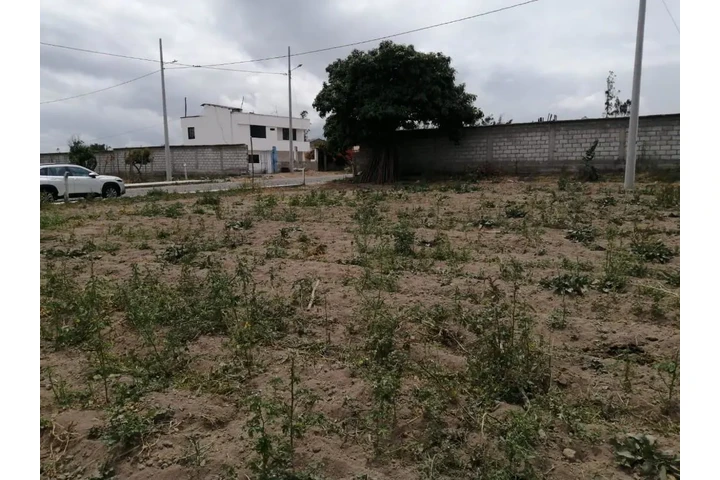 $30000 : Vendo terreno  Chaltura-Imbabu image 4