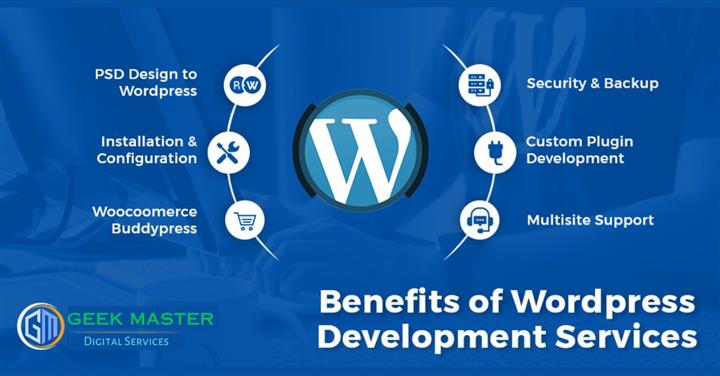 WordPress Development Services image 1