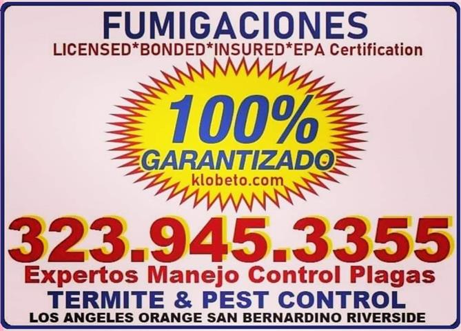 FUMIGADORES-EXTERMINADORES-24H image 10