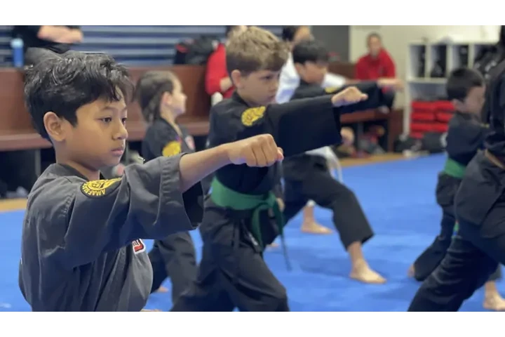 Kids Karate Classes of AMAF image 1