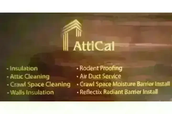 PEST CONTROL image 1