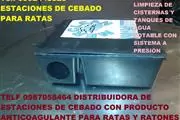 CUCARACHAS en Conocoto thumbnail
