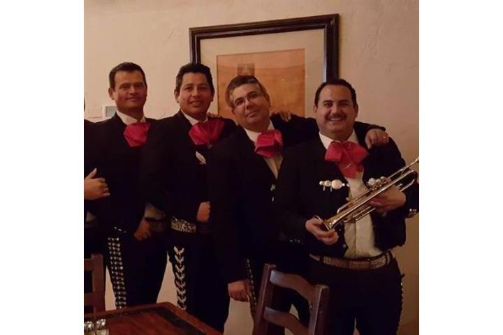 MARIACHI RAZA JALISCIENSE image 5