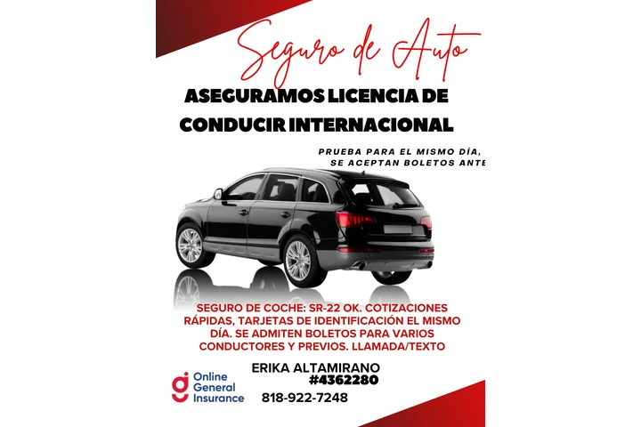 Seguro de automóvil asequible image 1