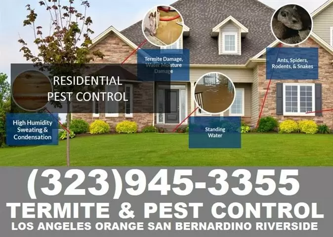 *TERMITE-PEST CONTROL SERVICE* image 1