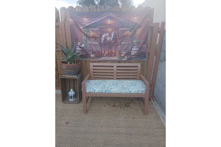 $1 : Se renta yarda  western  party image 2