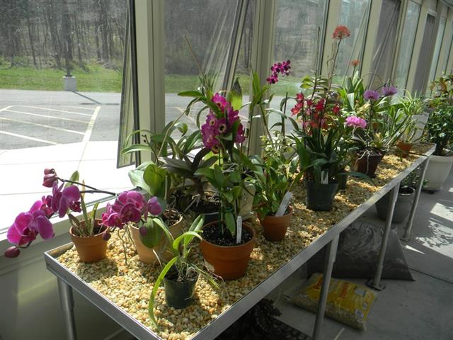 Quality Orchid Bench Supplier image 1