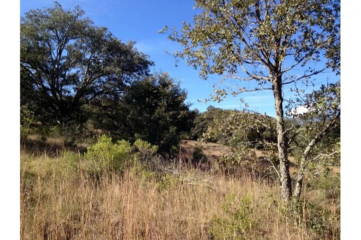 $750000 : TERRENO D 5000M2 CERCA AMEALCO image 7