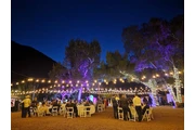 Reptacular Ranch - Eventos thumbnail