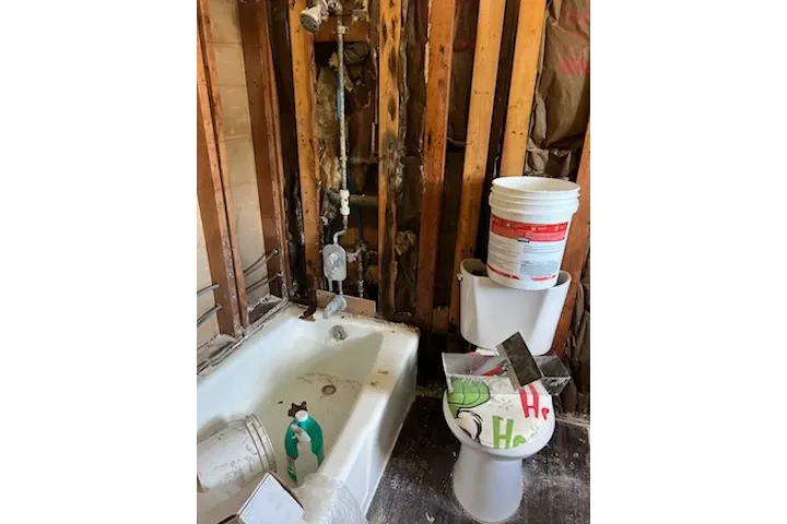 ALEX THE HANDYMAN image 6