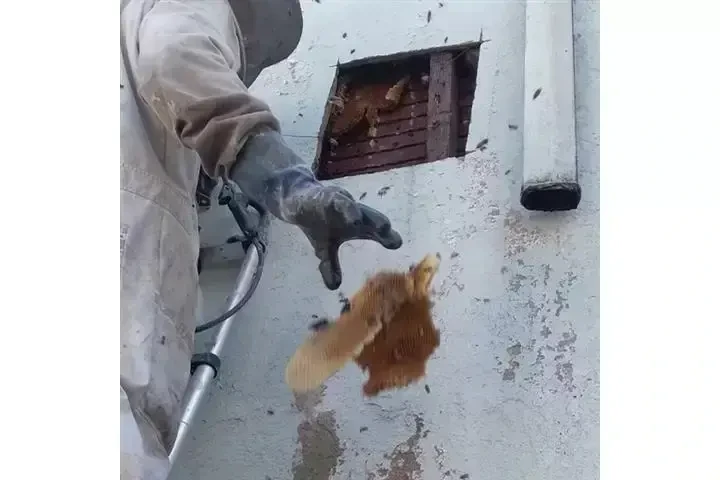 SUPERIOR BEE CONTROL image 1