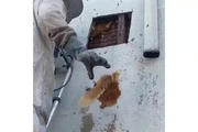 SUPERIOR BEE CONTROL en Los Angeles