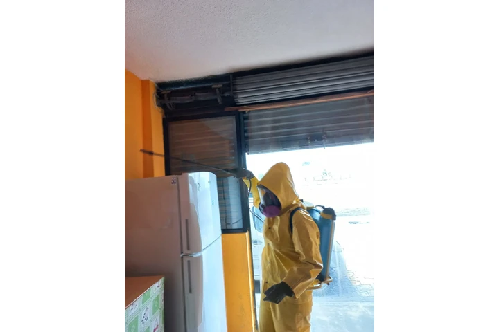Servicio profesional de fumiga image 5