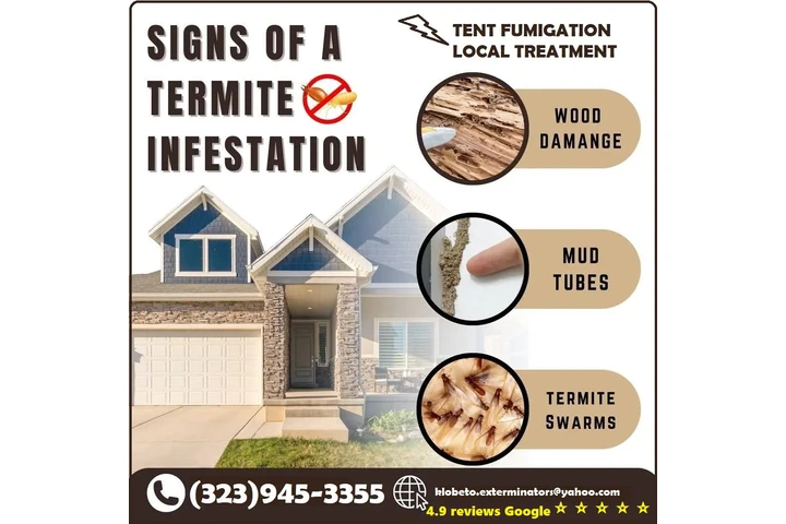 PEST CONTROL SERVICES L.A. image 9