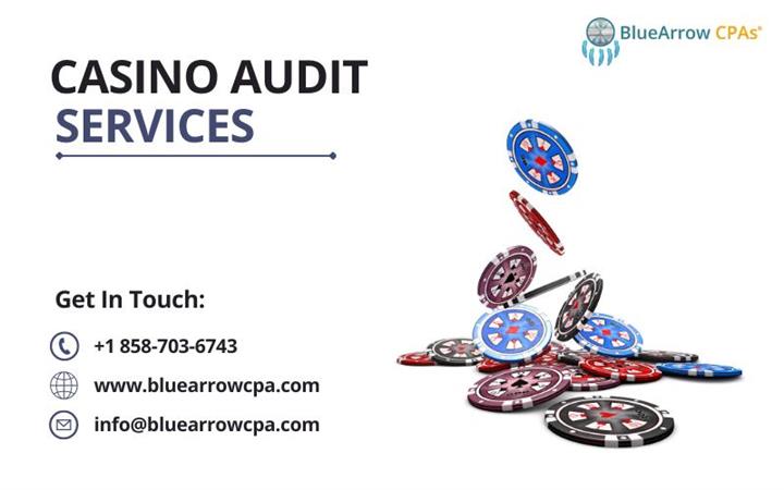 Casino Auditing Services - BAI image 1