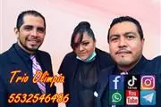 trios musicales Alfonso XIII en Mexico DF