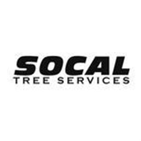 SoCal Tree Service image 1