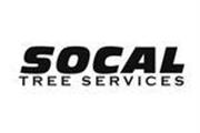 SoCal Tree Service en San Bernardino