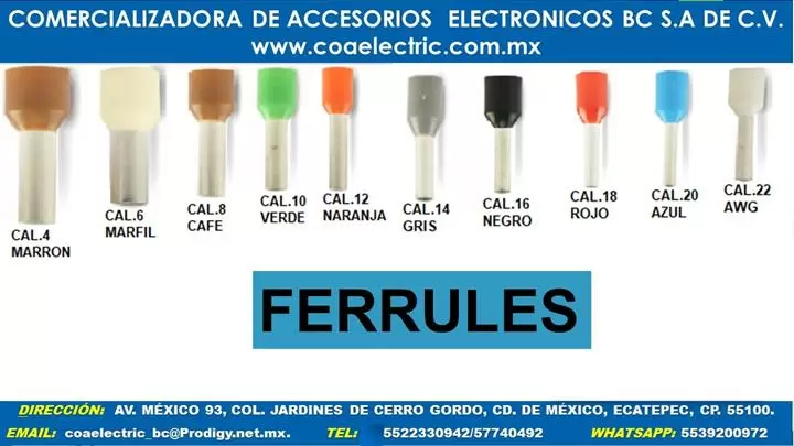 FERRULES image 2