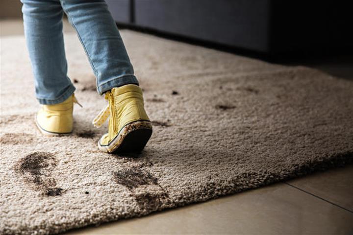 Carlossanz Carpet Cleaning image 2