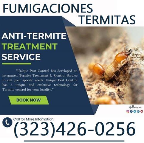 Termite Control100%Garantizado image 2