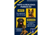 GRUPO SEINPRI DE MEXICO S.A. thumbnail