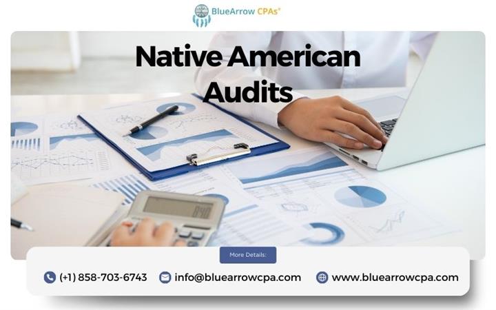 Native American Audits - BAI image 1