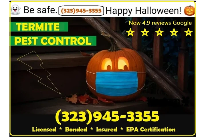 FUMIGACIONES 🎃 🦇 HALLOWEEN.- image 10