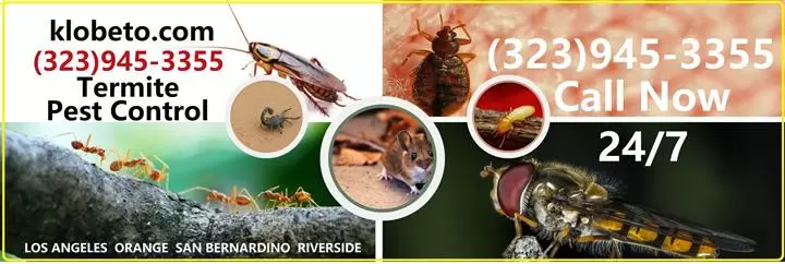 PEST CONTROL SERVICES NEAR ME. image 1