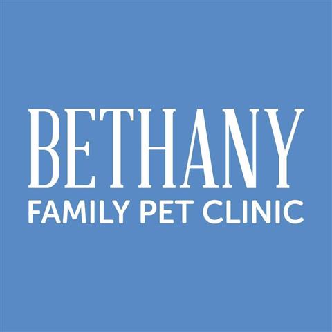 Bethany Family Pet Clinic image 7