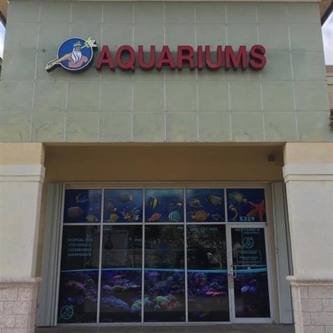 Neptune's Aquariums image 4