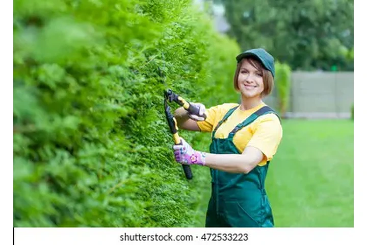 🍇APLICA YA🍇 image 3