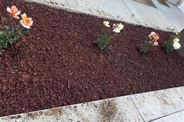 RC Landscaping en Los Angeles