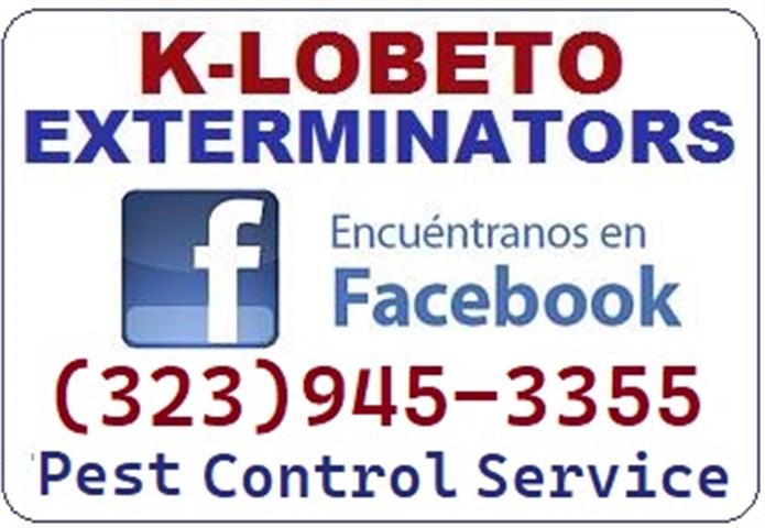 PEST CONTROL SERVICES 24/7.- image 5