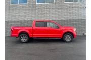 $16334 : Ford F-150 2016 4x4 XLT 4dr thumbnail