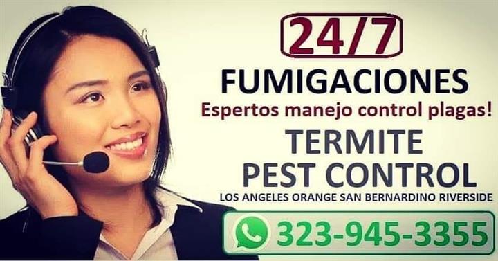 Pest Exterminator 24/7 all L.A image 3
