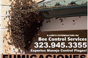 PEST CONTROL 24-7 EXTERMINATOR thumbnail