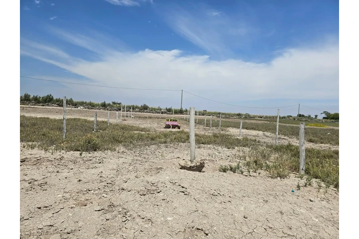 $58 : Remato Terreno image 5