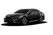 Camry XLE