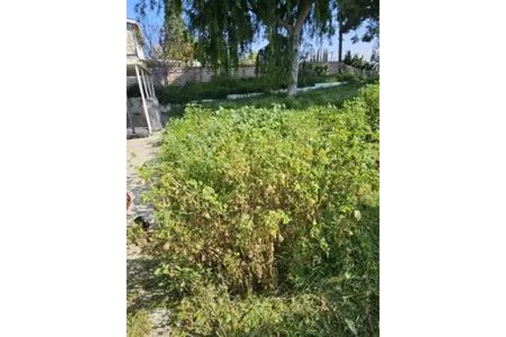 JARDINERÍA EN GENERAL image 3