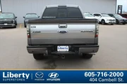 $18999 : Ford F-150 2014 4x4 Platinum thumbnail