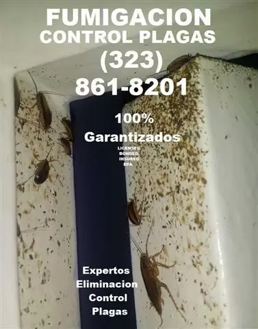 ¡SERVICIOS 100% GARANTIZADOS! image 3